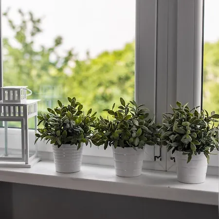 Apartament Atb Old Town